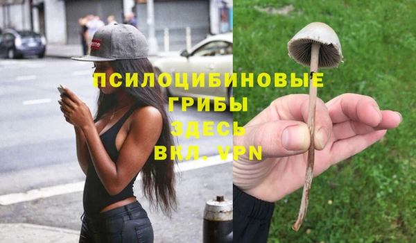 ALPHA-PVP Гусиноозёрск