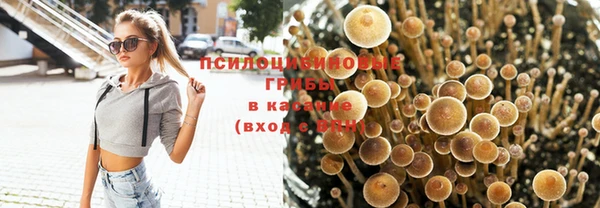 дживик Гусев