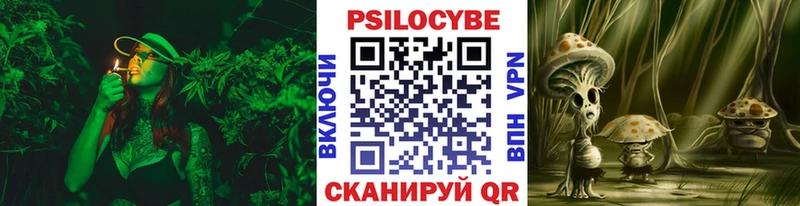 Псилоцибиновые грибы Psilocybine cubensis  OMG онион  Мезень 