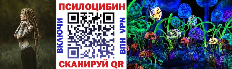 Галлюциногенные грибы Psilocybe Мезень